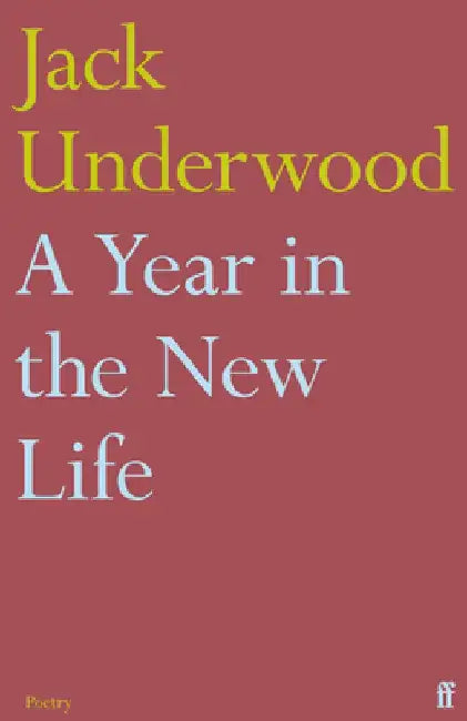 A Year in the New Life by Jack Underwood