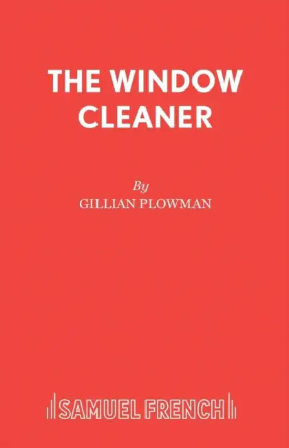 The Window Cleaner by Gillian Plowman