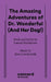 The Amazing Adventures of Dr. Wonderful (And Her Dog!) by Lauren Gunderson, Bree Lowdermilk