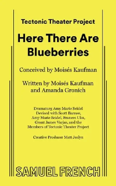 Here There Are Blueberries by Moisés Kaufman, Amanda Gronich