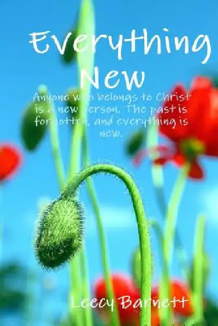 Everything New by Leecy Barnett
