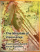 The Minutiae of Visionaries: Experiments Toward Social Evolution by Erica Eaton, Tara Smelt