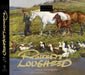 Follow the Sun: Robert Lougheed by Don Hedgpeth