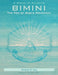 A Speck of Atlantis - Bimini: The Top of God's Mountain by Norbert H. Kox