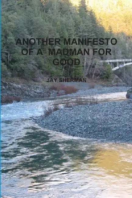 Another Manifesto of a Madman for Good by Jay Sherman