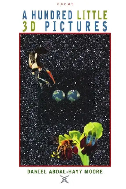 A Hundred Little 3D Pictures / Poetry by Daniel Abdal-Hayy Moore