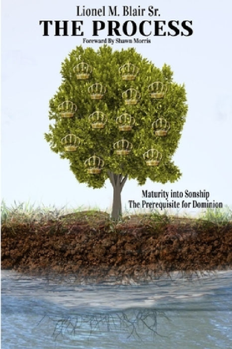 The Process: Maturity into Sonship, The Prerequisite for Dominion by Lionel Blair