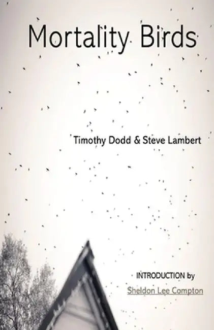 Mortality Birds by Steve Lambert