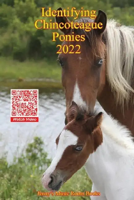 Identifying Chincoteague Ponies 2022 by Gina A. Aguilera