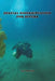 Spatial Disorientation for Divers by A. J. Powell