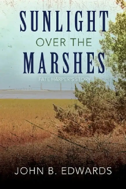 Sunlight Over the Marshes by John B. Edwards
