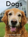 Dogs by Kelly G. Greer