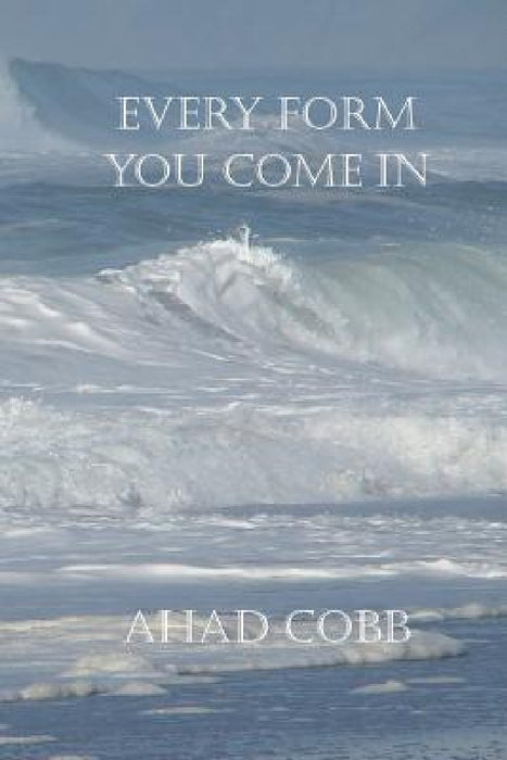 Every Form You Come In by Ahad Cobb