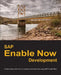 SAP Enable Now Development: Create high-quality training material and online help using SAP Enable Now by Dirk Manuel