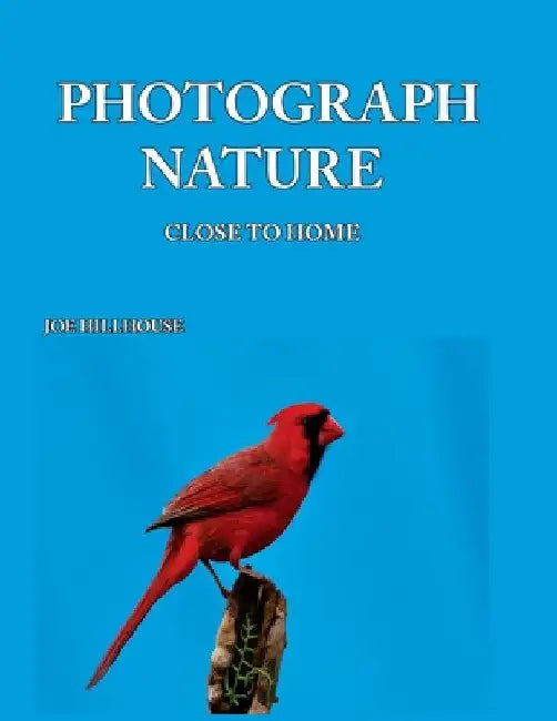 Photograph Nature: Close To Home by Joe Hillhouse