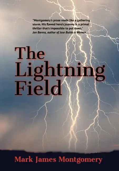 The Lightning Field by Mark James Montgomery