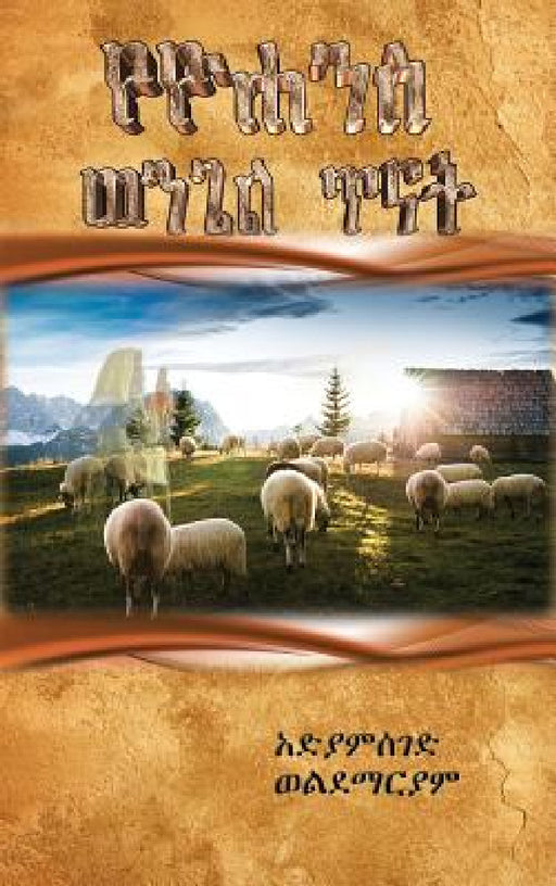 Book of John by Adiamseged Wube Woldemariam