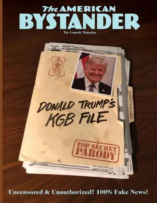 The American Bystander #11 by Michael a. Gerber