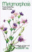 Metamorphosis: Purple Butterflies Dance To Jazz by Jacqueline T. Hill