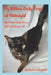 My Kitten Only Poops at Midnight: And Other Tails from SOS Cat Rescue AZ by Todd Cohen