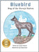 Bluebird: Dog of the Navajo Nation by Tamara Martin