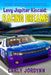 Levy Jupiter Kincaid: Racing Dreams by Carly Jordynn