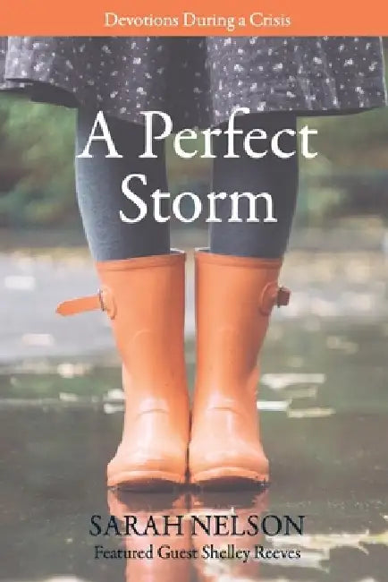 A Perfect Storm: Devotions During A Crisis by Shelley Reeves