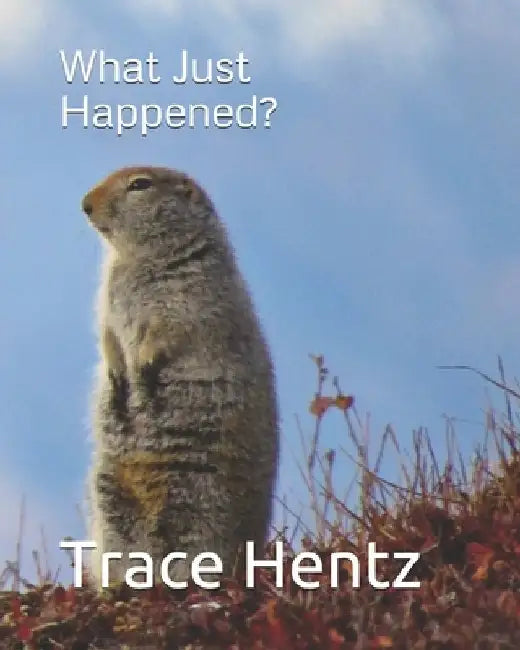 What Just Happened? by Trace L. Hentz