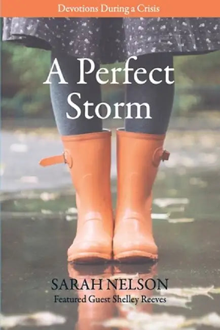 A Perfect Storm: Devotions During a Crisis by Sarah Nelson