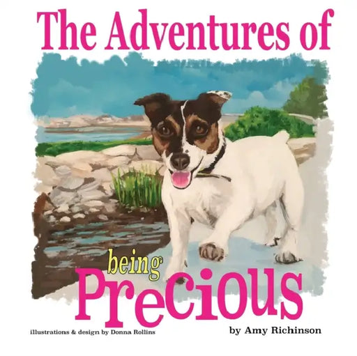 The Adventures of being Precious by Donna Rollins, Amy Richinson