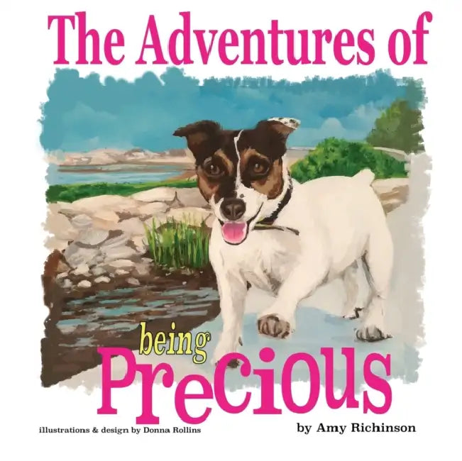 The Adventures of being Precious by Donna Rollins, Amy Richinson