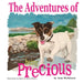 The Adventures of being Precious by Donna Rollins, Amy Richinson