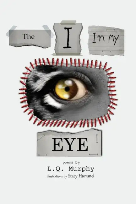The I in my Eye by Stacy Hummel, L. Q. Murphy