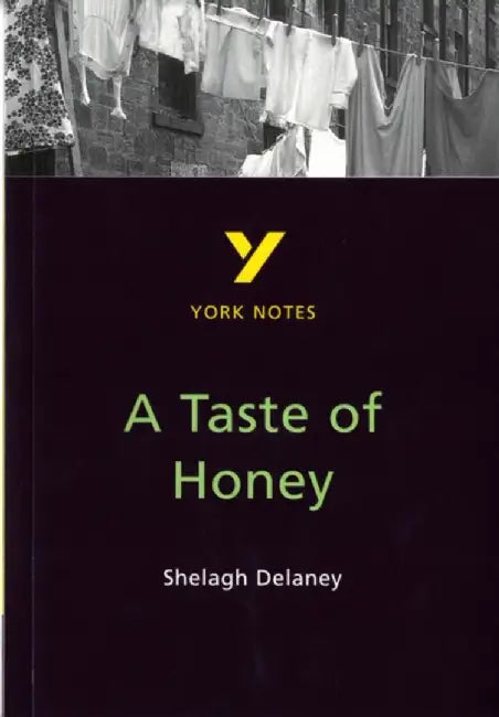 A Taste of Honey everything you need to catch up, study and prepare for the 2025 and 2026 exams by Bernadette Dyer
