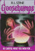 GB #12 Be Careful What You Wish For... by R L Stine