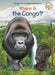 Where Is the Congo? by Megan Stine