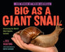 Big as a Giant Snail by Jess Keating