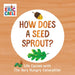 How Does a Seed Sprout?: Life Cycles with the Very Hungry Caterpillar by Eric Carle