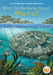 What Do We Know about Atlantis? by Emma Bernay
