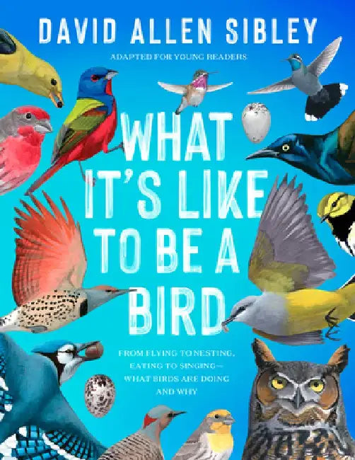 What It's Like to Be a Bird (Adapted for Young Readers): From Flying to Nesting, Eating to Singing--What Birds Are Doing, and Why by David Allen Sibley
