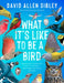 What It's Like to Be a Bird (Adapted for Young Readers): From Flying to Nesting, Eating to Singing--What Birds Are Doing, and Why by David Allen Sibley