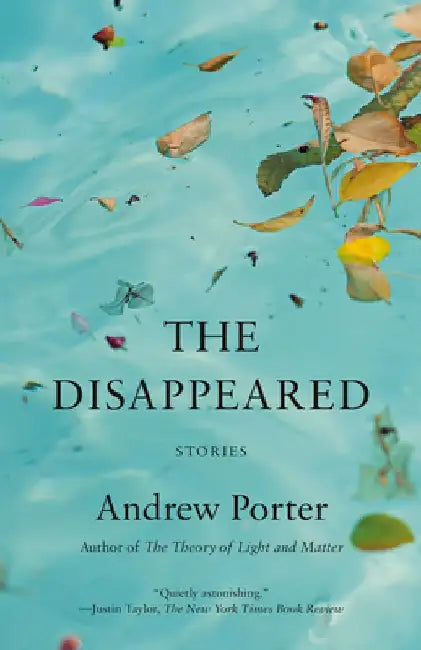 The Disappeared: Stories by Andrew Porter