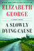 A Slowly Dying Cause: A Lynley Novel by Elizabeth George