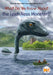 What Do We Know about the Loch Ness Monster? by Steve Korte