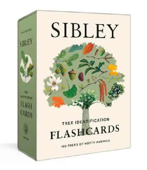 Sibley Tree Identification Flashcards: 100 Trees of North America by David Allen Sibley