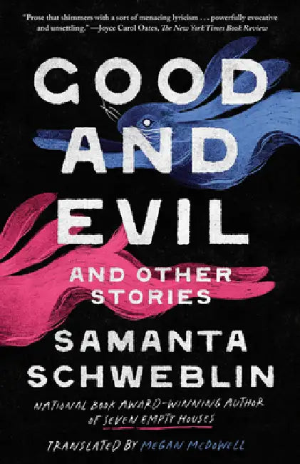 Good and Evil and Other Stories by Samanta Schweblin, Megan McDowell