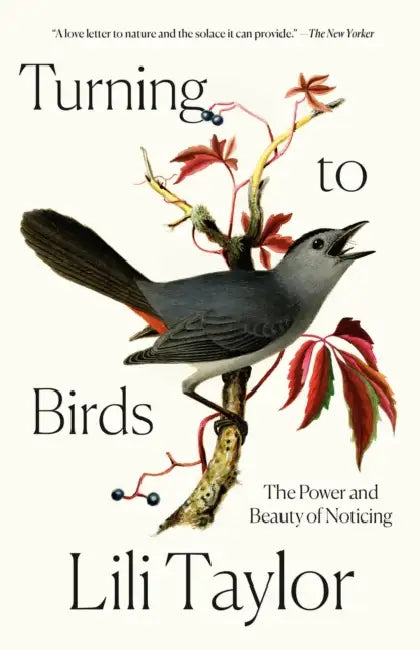Turning to Birds: The Power and Beauty of Noticing by Lili Taylor