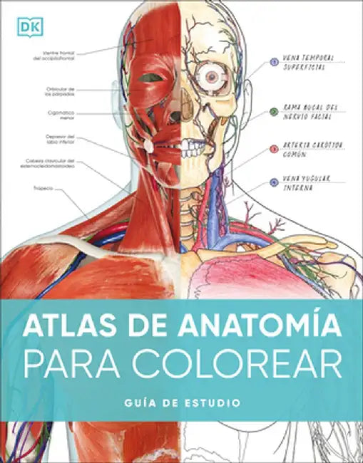 Atlas de Anatomía Para Colorear (the Human Body Coloring Book): Guía de Estudio by DK