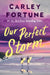 Our Perfect Storm by Carley Fortune