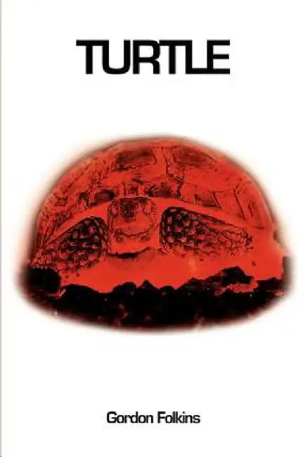 Turtle by Gordon Folkins